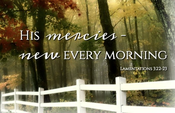 NEW – What a Wonderful Word!