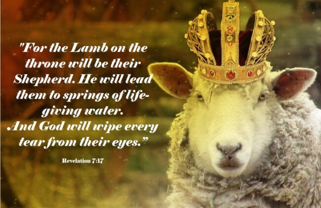 Straighten Your Crowns, Worthy Sheep!