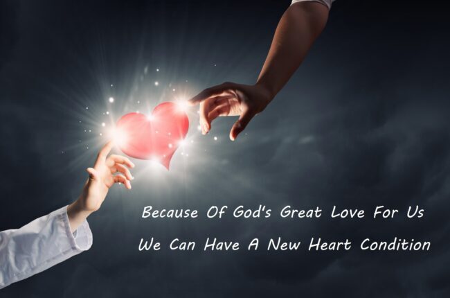 The First Heart Transplant My Peace Zone