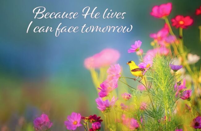 Forty More Days of Easter