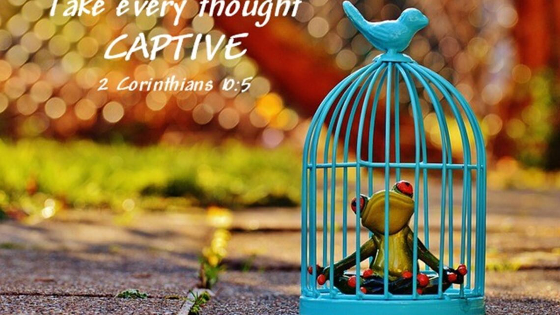 Our Minds have an Entertainer
