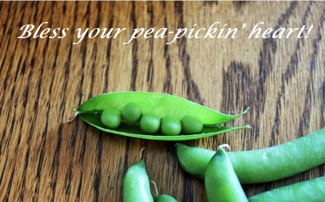 Bless Your Pea-Pickin’ Heart