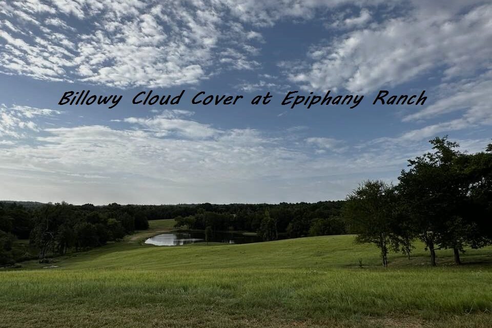 Enjoying Billowy Cloud Cover