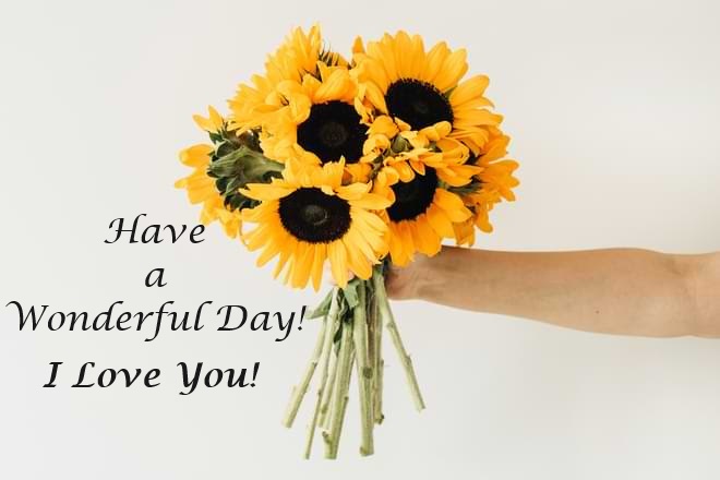 Have a Wonderful Day!