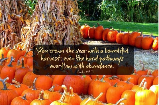 Are You a Pumpkin Eater?