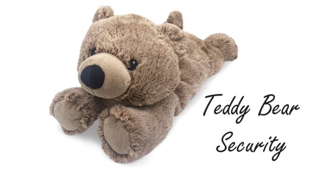My Teddy Bear