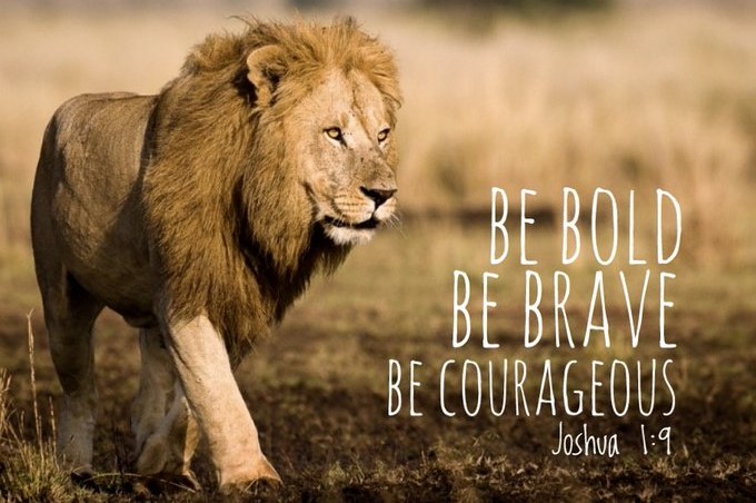 Bold and Brave Believers