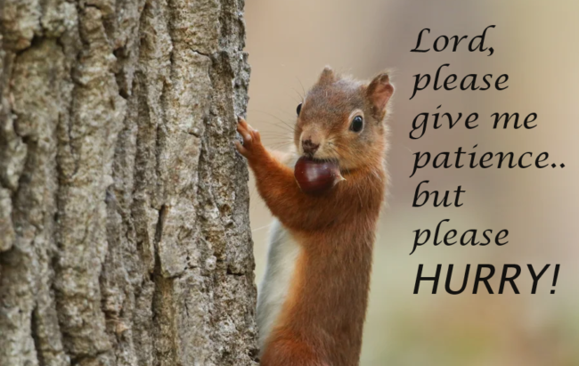 Patience, Lord! NOW!
