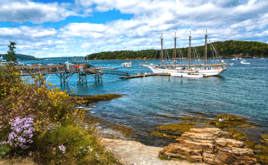 Harbor of Hope