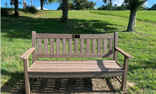 The Noble Bench