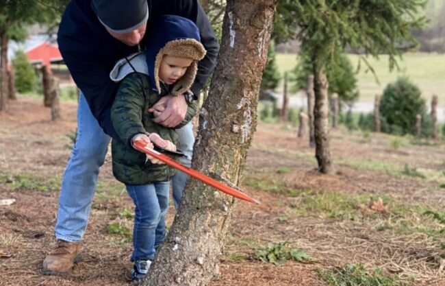 Let’s Chop Down Some Trees