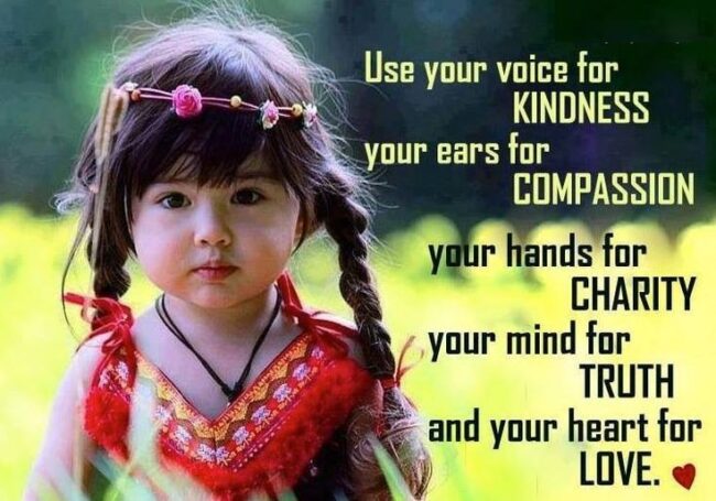 A New Voice