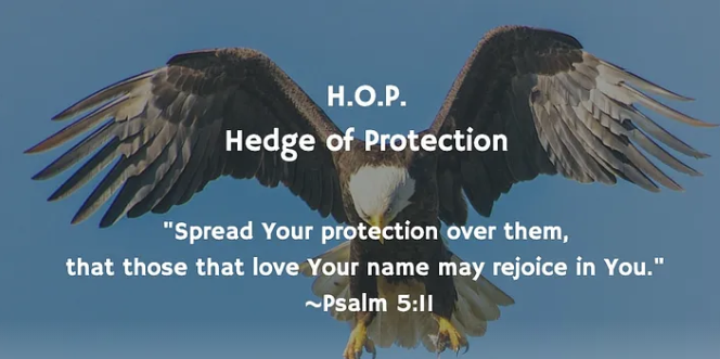 Hedge of Protection