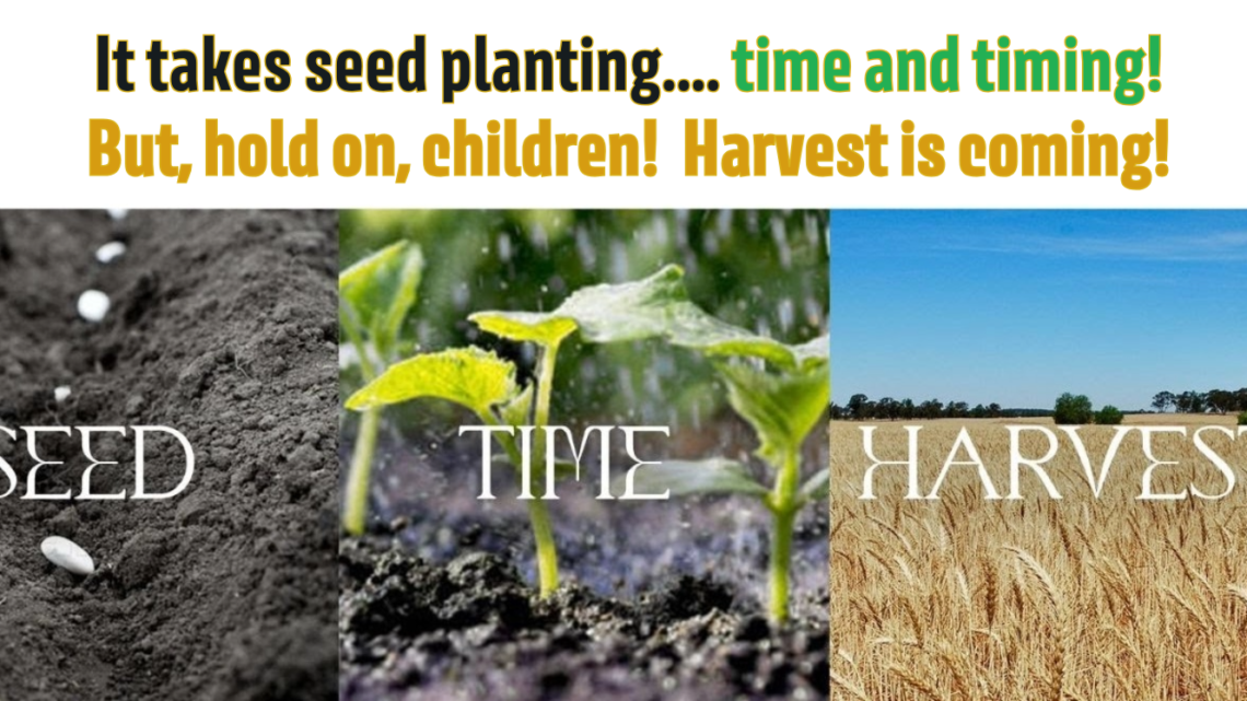 Let’s Keep Planting