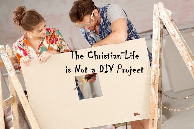 We are Not a DIY Project