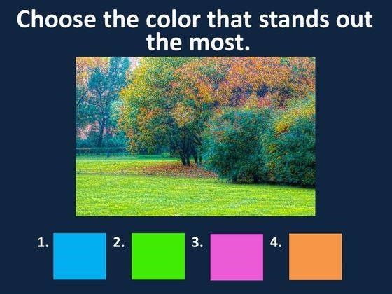 What Do Your Little Eyes See?