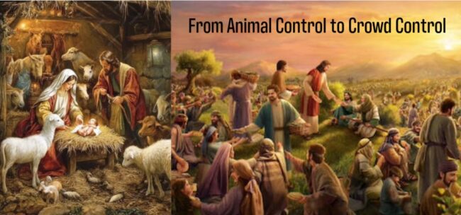 From Animal Control to Crowd Control