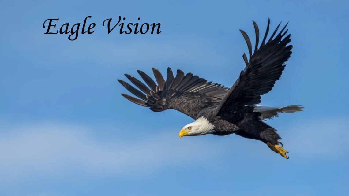 I Want Eagle Vision