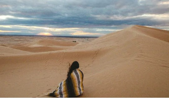 Let’s Go to the Desert