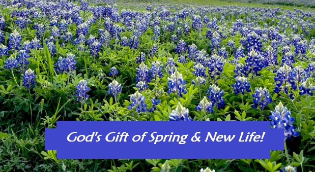 Got Spring in Your Steps?