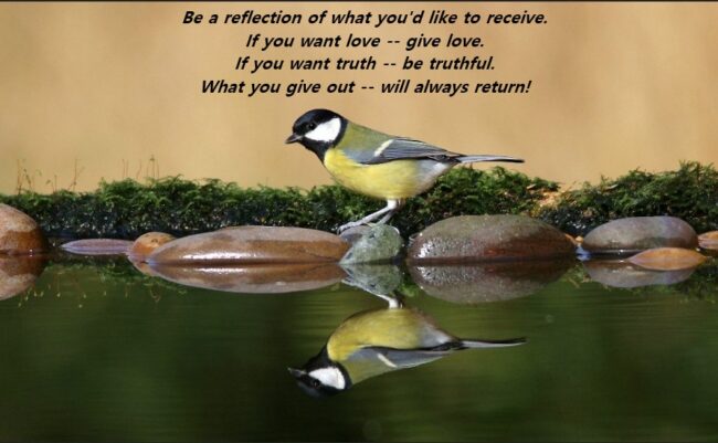 Reflecting What We Want in Return