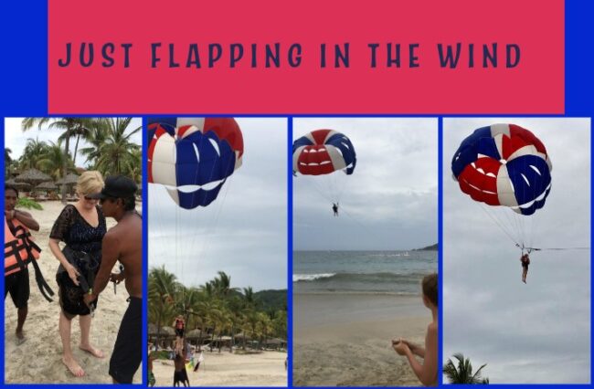 Flapping in the Wind