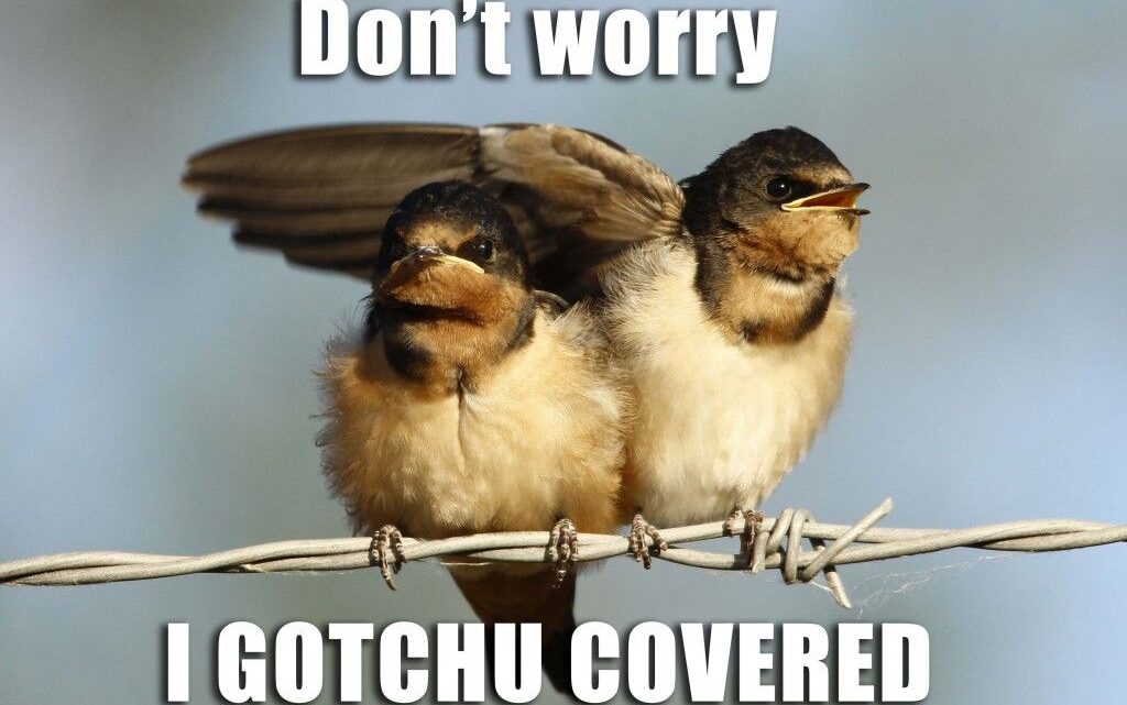 I Gotchu!