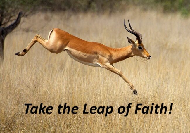Leap Over that Wall