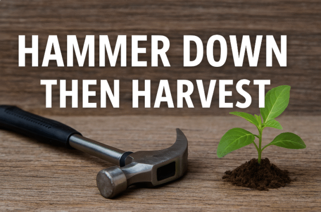 Hammer Down Mode