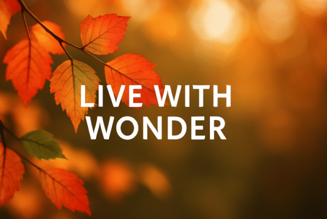 The “Ber” Months of Wonder