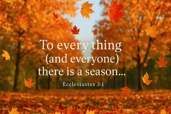In Due Season, We Will Reap