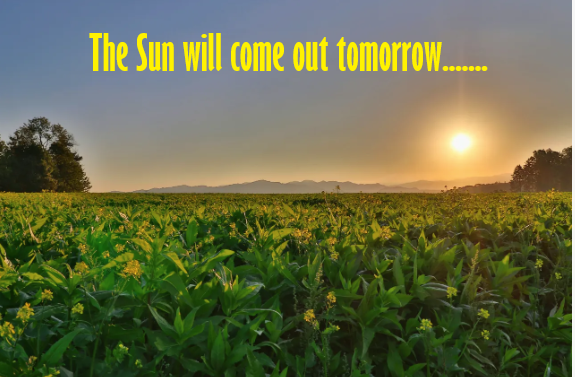 The Sun Will Come Out Tomorrow