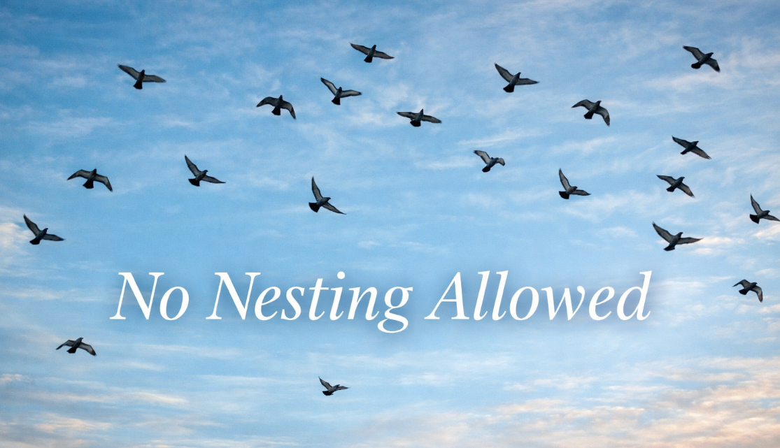 Don’t Let the Birds Nest There