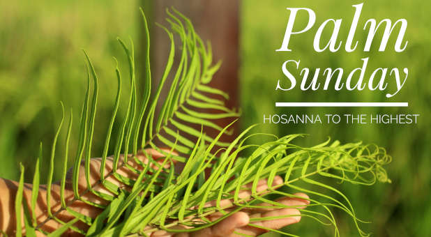 Palm Sunday — Our King has Come!