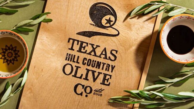 Our Olive Tree Journey