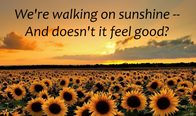 Along with the Sunshine — Comes a Little Rain