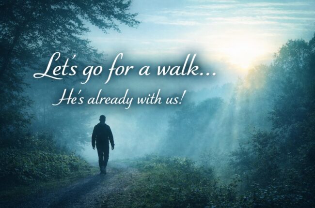  Let’s Go for a Walk